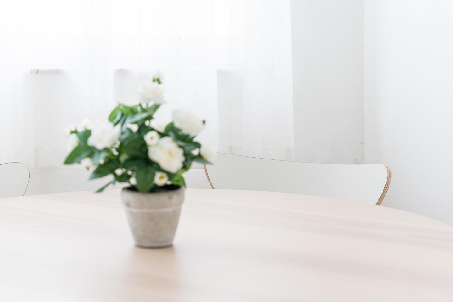 Guestready - Modern Cosy Apartment With A Terrace بورتو المظهر الخارجي الصورة